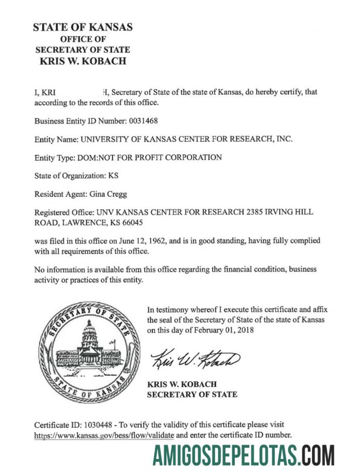 USA Kansas Certificate Of Good Standing modelo